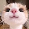 yoaimoo_xhexhe