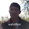 wahidbux.wahidbux313