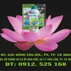 HỢP TÁC XÃ PHÚ LONG