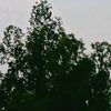 nitishkumarsahani2