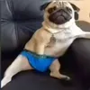 bootyfartsniffer70