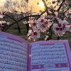 lenaalzhrani7