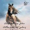 abir.cham.elyasmi