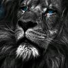user2251195399631
