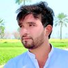tanveerabbas7374