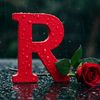 ramin.amiree.1212