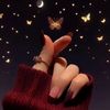 shahy.mohamed05