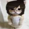 skz_utt