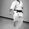 raul.poltronieri