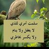 user1503565103385