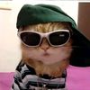 aayush_horaa0