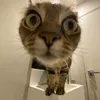 _elovek_3