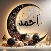 ahmed.elnosary0