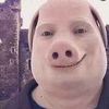 thefatpig_nextdoor001