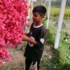 arfat.vai286