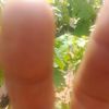 user680038103111819