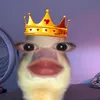 chestaa5