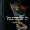 alibe988
