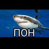 neon_shark5