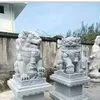 thanhhuynh7019