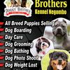 Doggy brother’s kennel