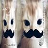 alic3_1218