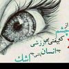 user2427539130110