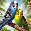 the.budgies.apoll