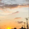 amoofelix04