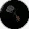 user5528619291377