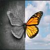bilal_qureshi24525