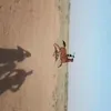 hm___078