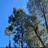 engla_18