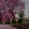 nourhouda0886