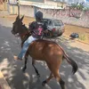 heitor.fernandes071
