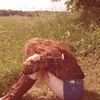 nihal_slmva