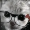 kitty.privateee