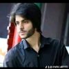 shahid.ali8195
