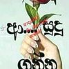 user1252053610056