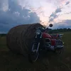 analitec_titek_228