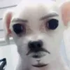 sotyakkinmudip