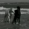 mispronounceannot