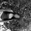 lia.ln25