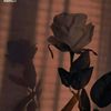 darry_1211_pansmione