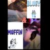 blueyandmuffin
