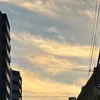 aylhamo