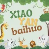Tạp hoá XiaoYan🧂