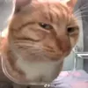 siuuu_405
