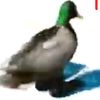 wert4273