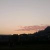 limbuni1991051